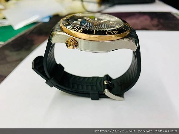 OMEGA 歐米茄 海馬系列_210425_3.jpg