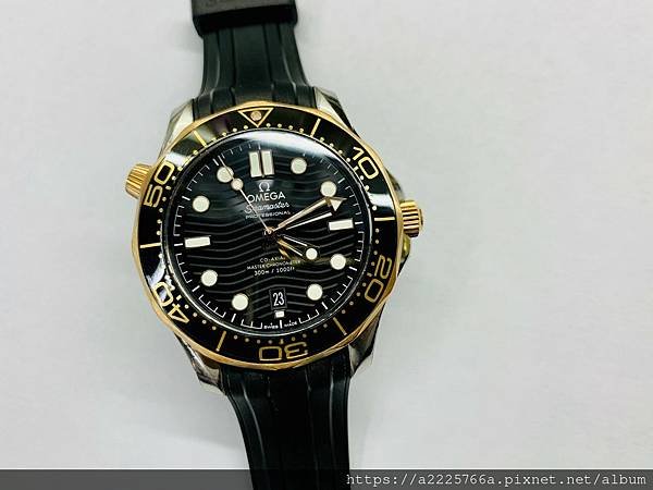 OMEGA 歐米茄 海馬系列_210425_2.jpg