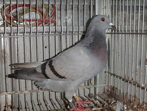 DSC00265