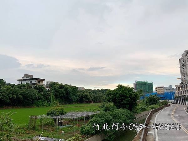 椰林掬現況_190904_0027.jpg