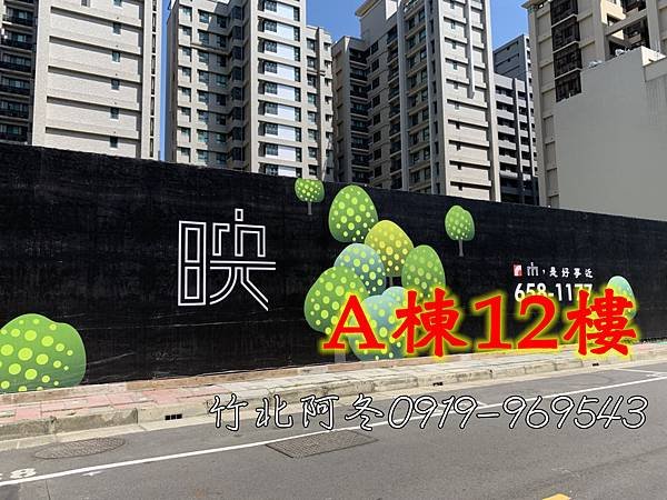 椰林映A12封面.jpg