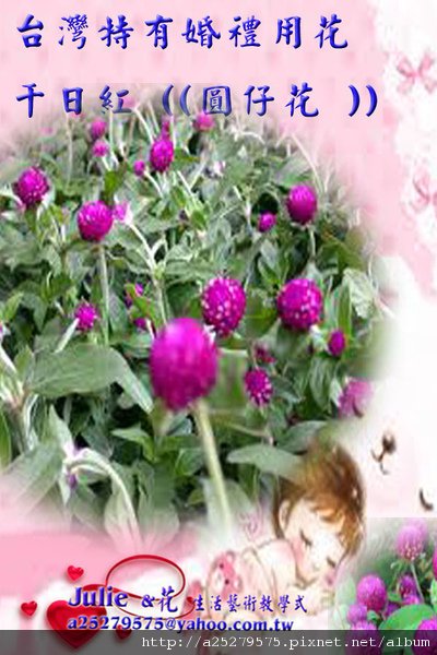 圓仔花&amp;Julie婚禮.jpg
