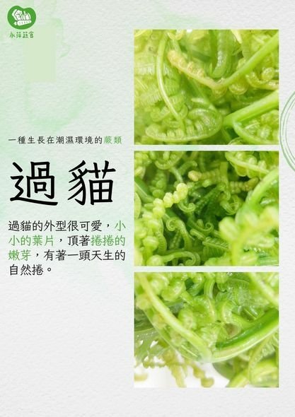 永萍蔬食農友合作的蔬菜－－過貓菜