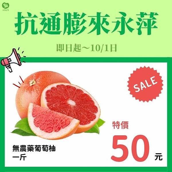 無農藥的葡萄柚1斤只要50元！