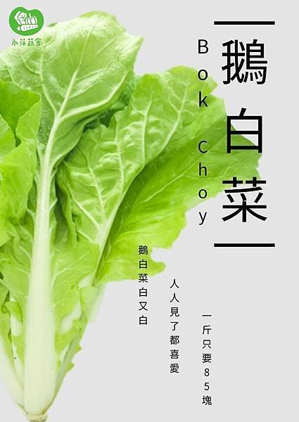 永萍蔬食菜園種植 無毒鵝白菜🥬🥬🥬