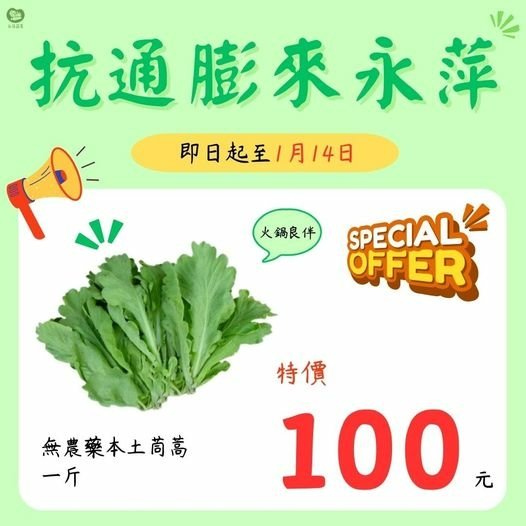 即日起～1/14日 無農藥的本土茼蒿一斤只要100元！