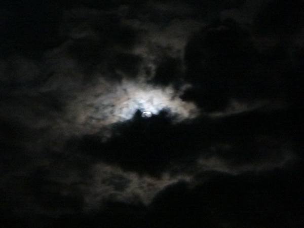 DSC01713_調整大小.JPG