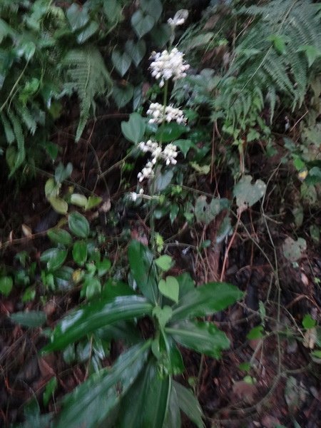 DSC01723_調整大小.JPG