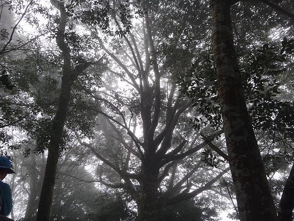 DSC04643_調整大小.JPG