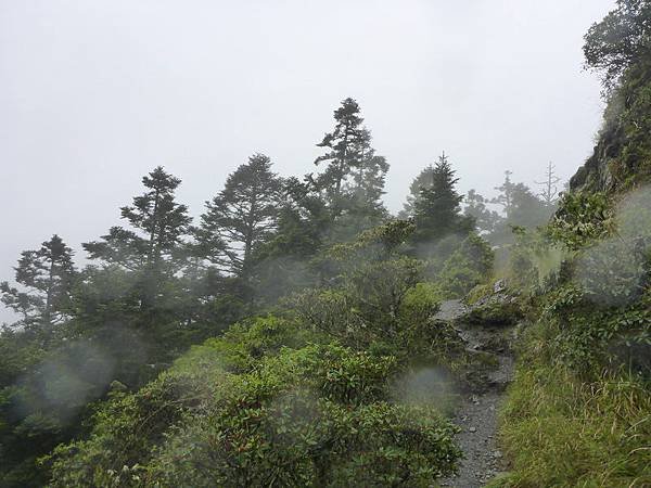 P1050084_調整大小.JPG