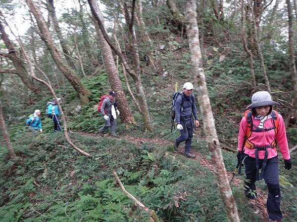 DSC08451_調整大小.JPG