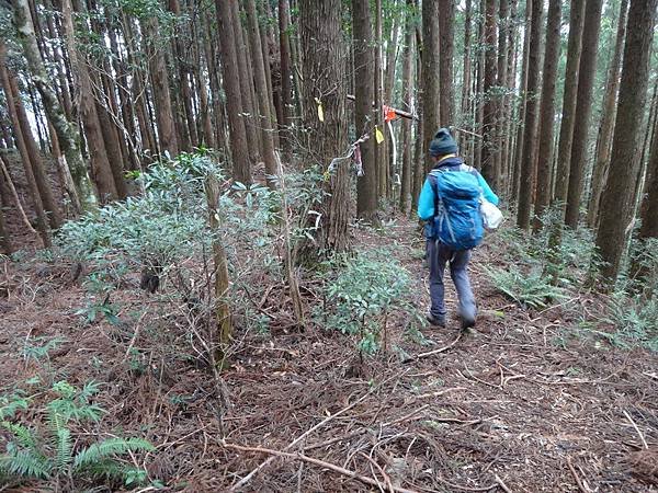 DSC08513_調整大小.JPG