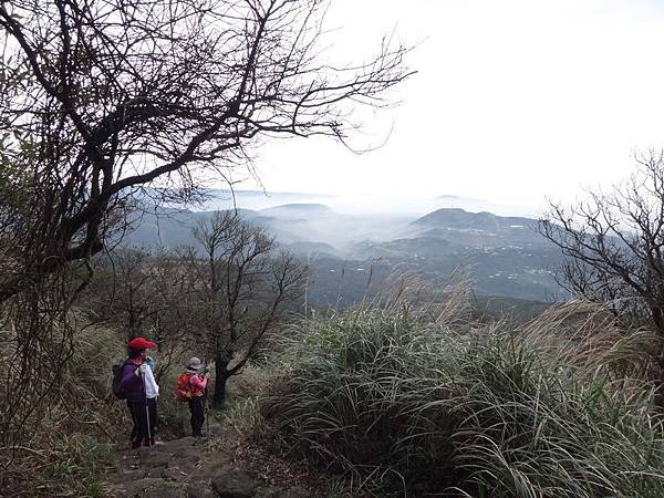 DSC09405_調整大小.JPG