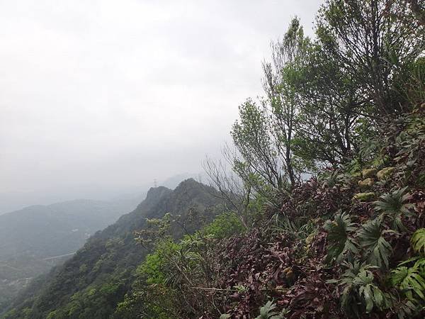 DSC09727_調整大小.JPG