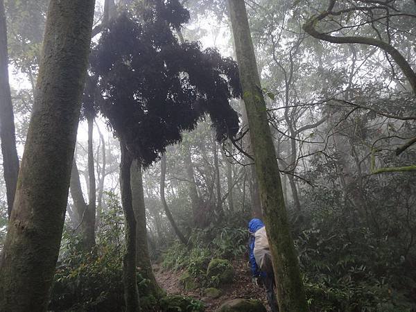 DSC09868_調整大小.JPG