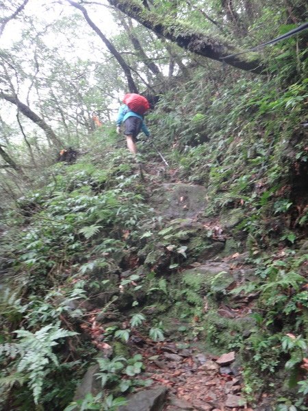 DSC01483_調整大小.JPG