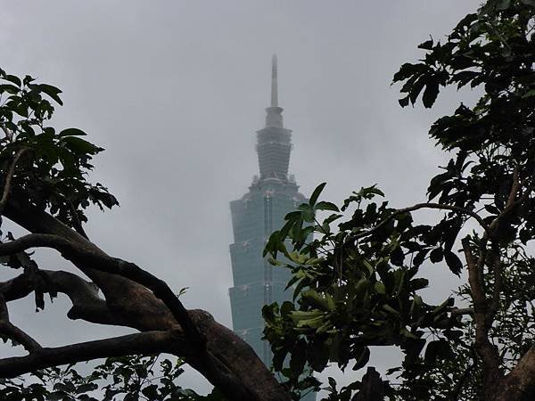 P1100356_調整大小.JPG
