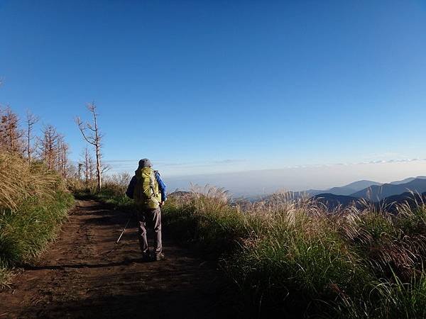DSC02252_調整大小.JPG