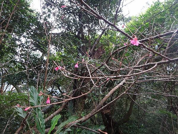 DSC04389_調整大小.JPG
