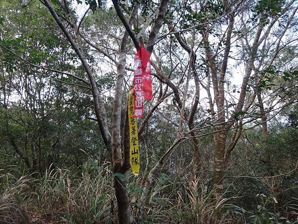 DSC04889_調整大小.JPG