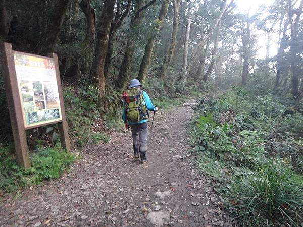 DSC05079_調整大小.JPG
