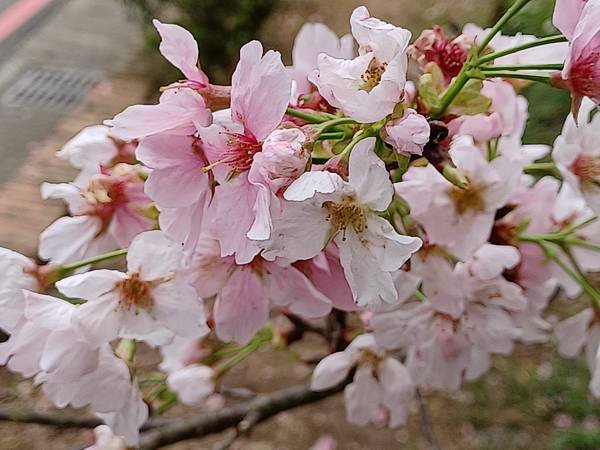 20210329_081403.jpg