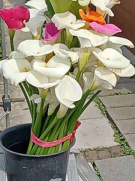 20210329_091339.jpg