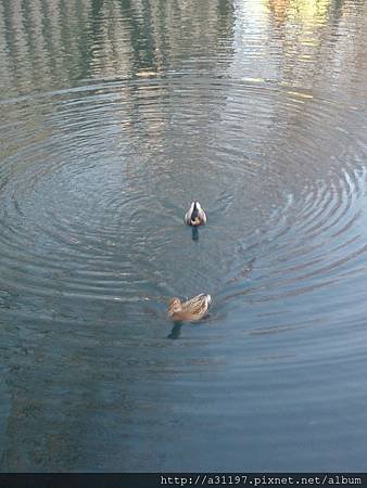 DSC_1980.jpg