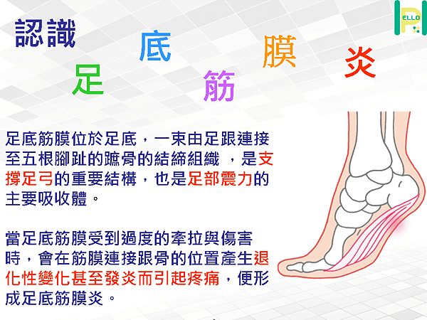 投影片2.PNG