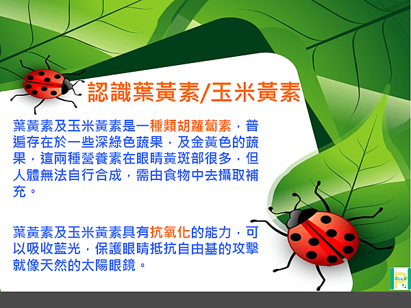 投影片6.PNG