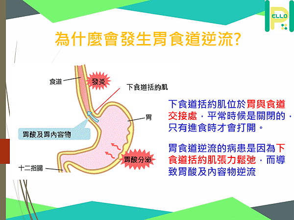 投影片2.PNG