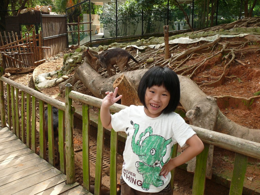 P1030792.JPG