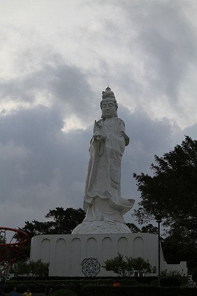 IMG_1466.jpg