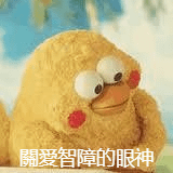 鸚鵡兄弟 (1).png