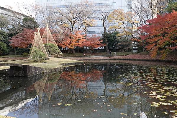 東京銀杏與楓葉