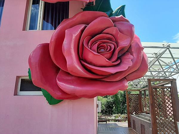 20200627_112153.jpg