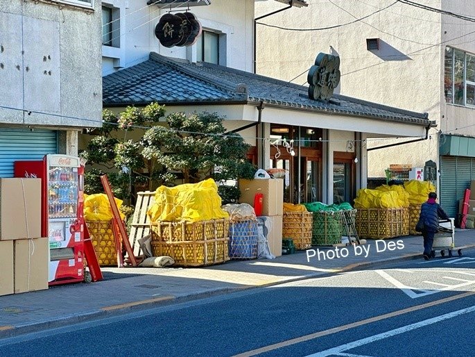 【遊記】日本．東京｜青梅．青梅達摩市集(每年年度盛會街道封街