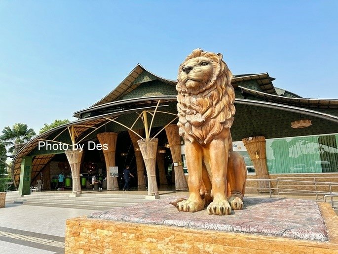 【遊記】泰國．大城．大城獅子動物園(體驗泰國最夯與動物合照親