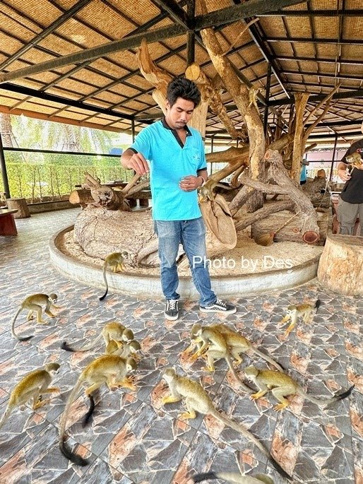 【遊記】泰國．大城．大城獅子動物園(體驗泰國最夯與動物合照親