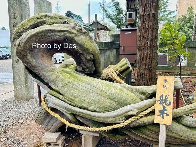 【遊記】日本．金澤．石浦神社(人氣神社充滿色彩繽紛超可愛水玉