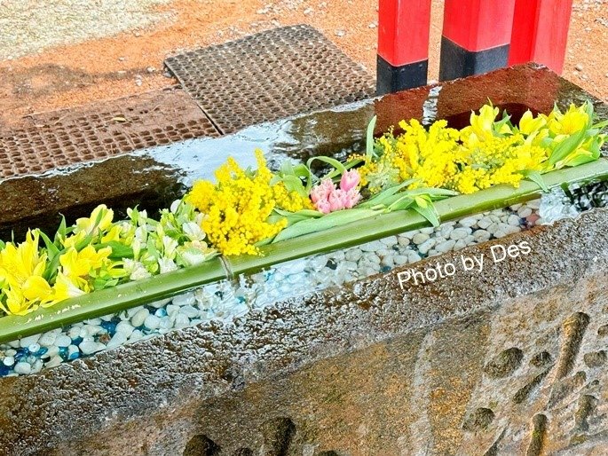 【遊記】日本．金澤．石浦神社(人氣神社充滿色彩繽紛超可愛水玉