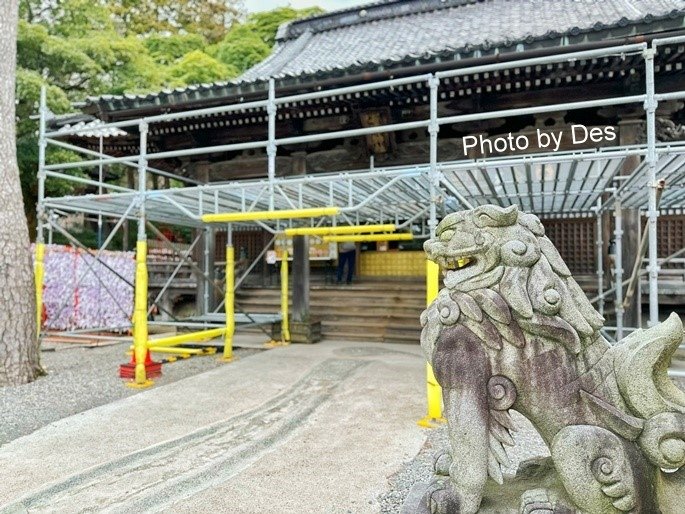 【遊記】日本．金澤．石浦神社(人氣神社充滿色彩繽紛超可愛水玉