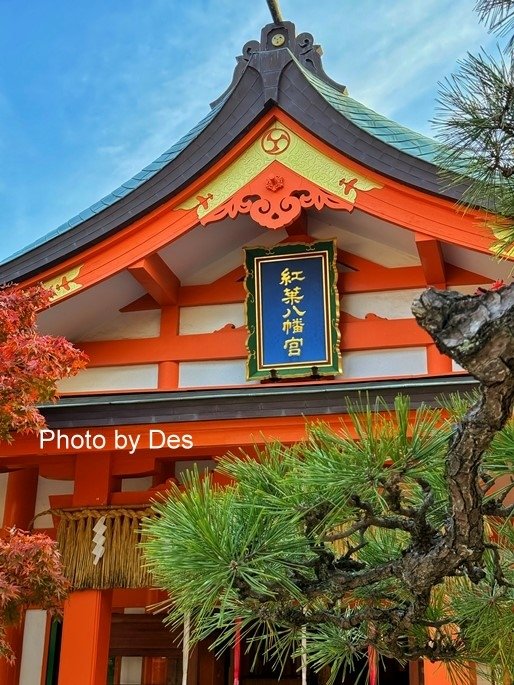 【遊記】日本．福岡．紅葉八幡宮(專屬於秋日象徵在神社感受紅葉