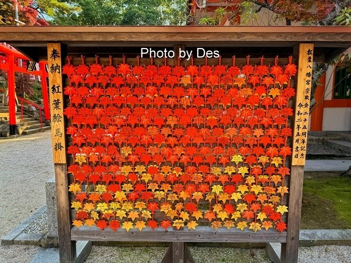 【遊記】日本．福岡．紅葉八幡宮(專屬於秋日象徵在神社感受紅葉