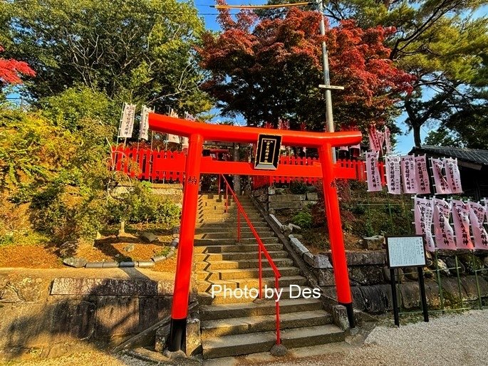 【遊記】日本．福岡．紅葉八幡宮(專屬於秋日象徵在神社感受紅葉