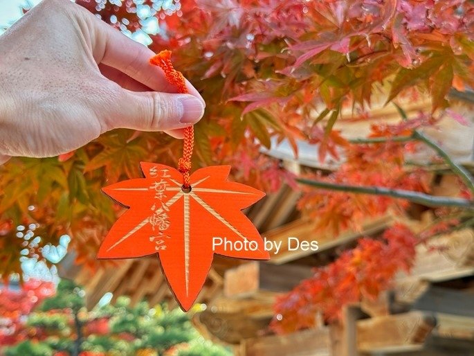 【遊記】日本．福岡．紅葉八幡宮(專屬於秋日象徵在神社感受紅葉