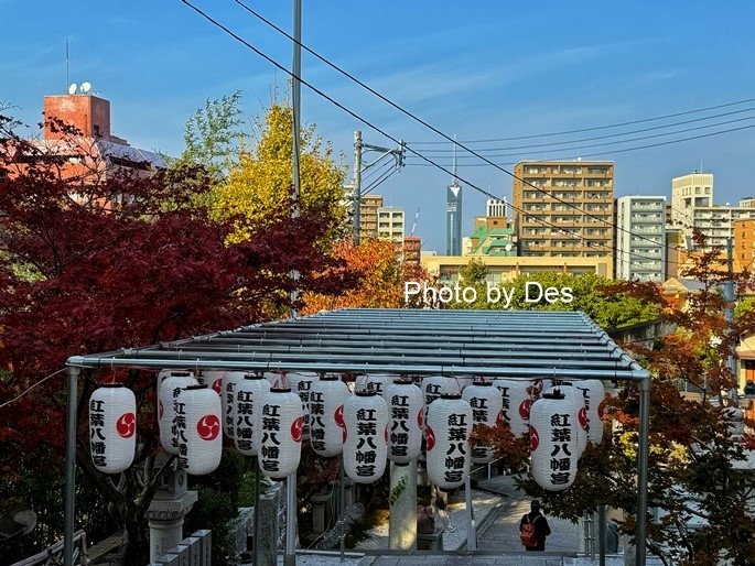 【遊記】日本．福岡．紅葉八幡宮(專屬於秋日象徵在神社感受紅葉