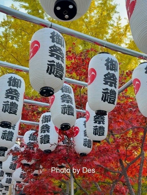 【遊記】日本．福岡．紅葉八幡宮(專屬於秋日象徵在神社感受紅葉