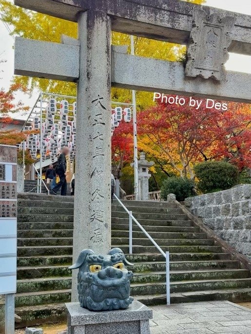 【遊記】日本．福岡．紅葉八幡宮(專屬於秋日象徵在神社感受紅葉