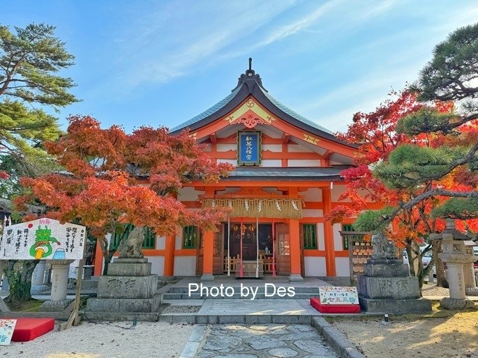 【遊記】日本．福岡．紅葉八幡宮(專屬於秋日象徵在神社感受紅葉